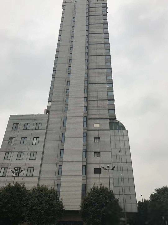 �V�������o���Q����